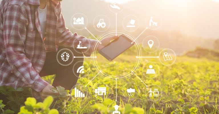 Criação de Sites Profissionais para Agronomia
