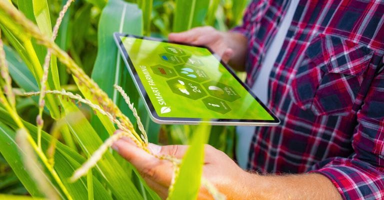 Agência de Publicidade Especializada em Agronegócio