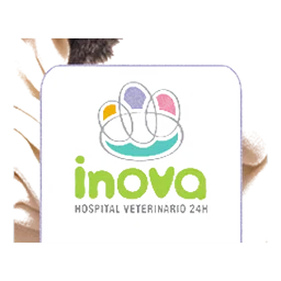 Logo Inova Hospital Veterinário 24h