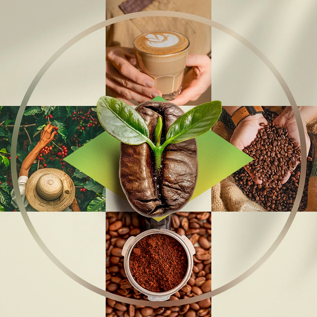Painel fotográfico da cadeia do café para a Artisans: colheita, grãos torrados nas mãos, café moído e latte art em grade circular.