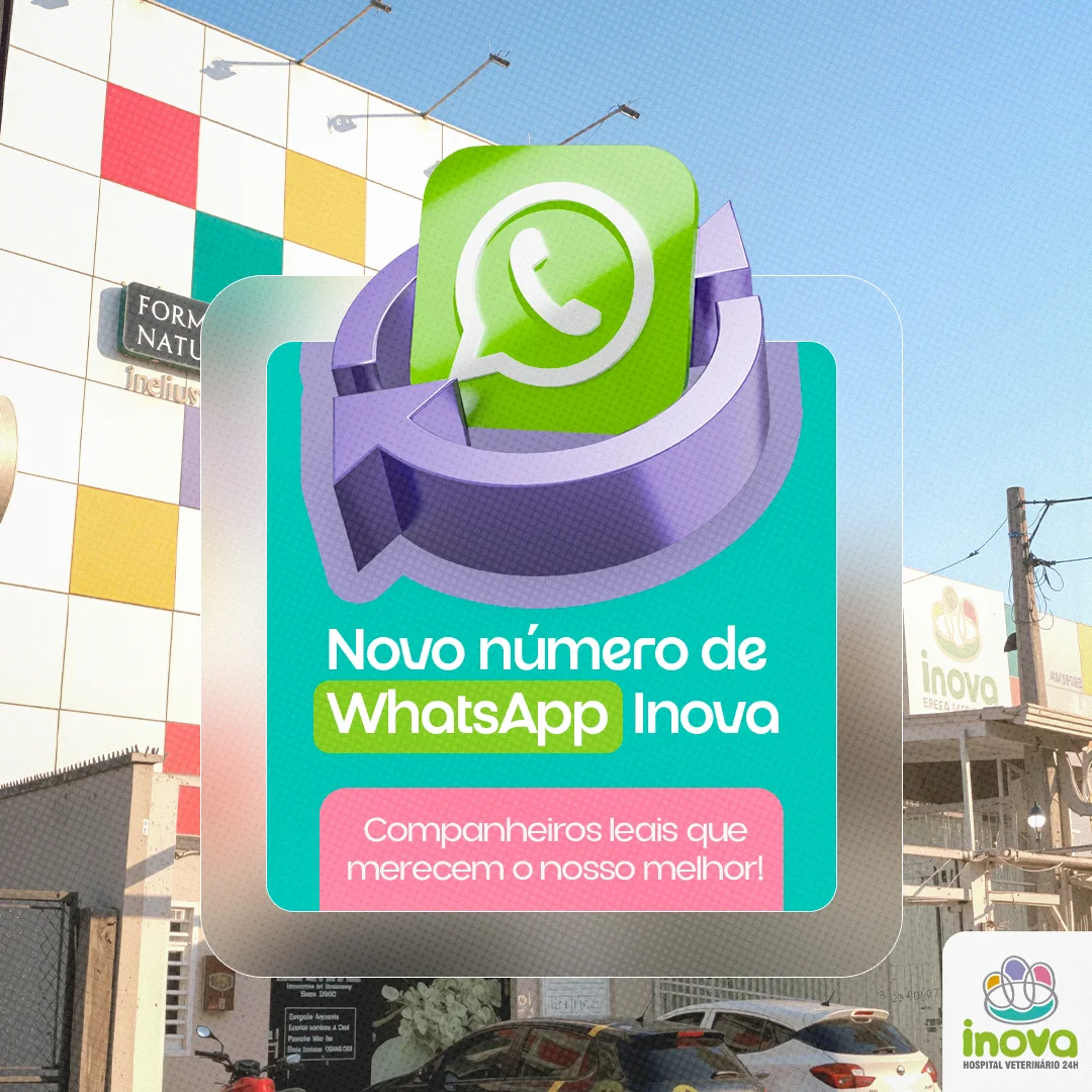 Post do Inova anunciando novo número de WhatsApp, com ícone 3D do WhatsApp sobre foto da fachada da unidade