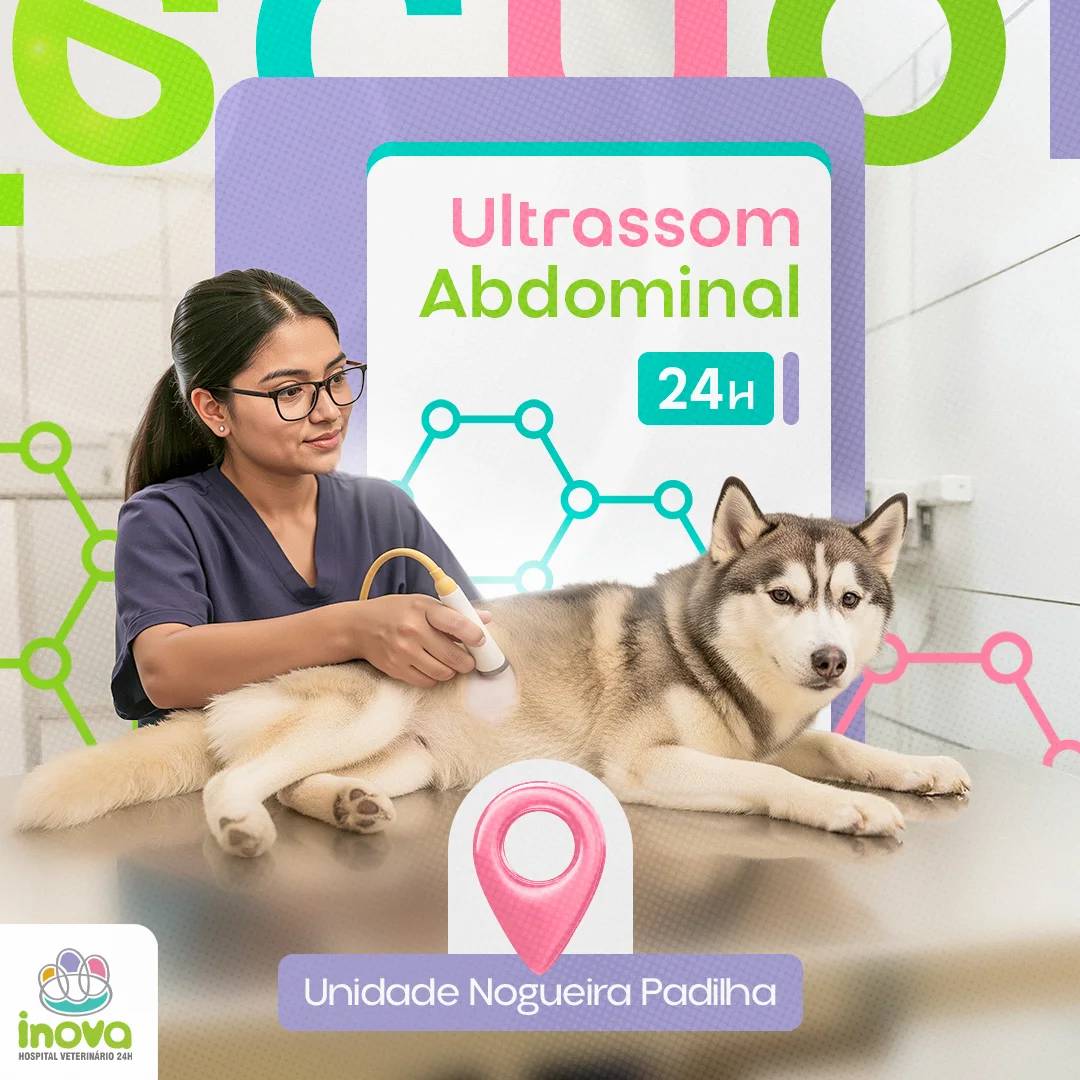 Post do Inova Hospital Veterinário anunciando ultrassom abdominal 24h na Unidade Nogueira Padilha, com veterinária examinando um husky deitado na mesa
