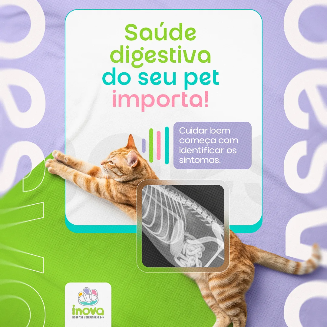 Post do Inova sobre saúde digestiva do pet, com gato laranja deitado sobre grafismos verde e lilás e detalhe de radiografia ilustrativa
