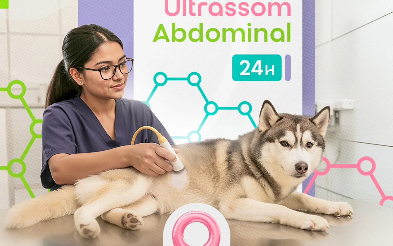 Peça de campanha da Inova Hospital Veterinário 24h
