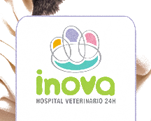 Logo Inova Hospital Veterinário 24h