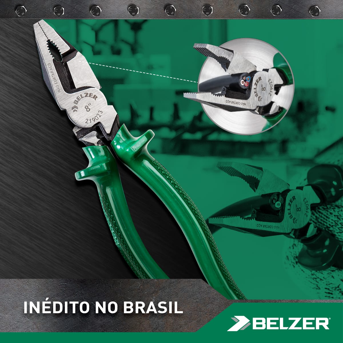 Belzer Social 1