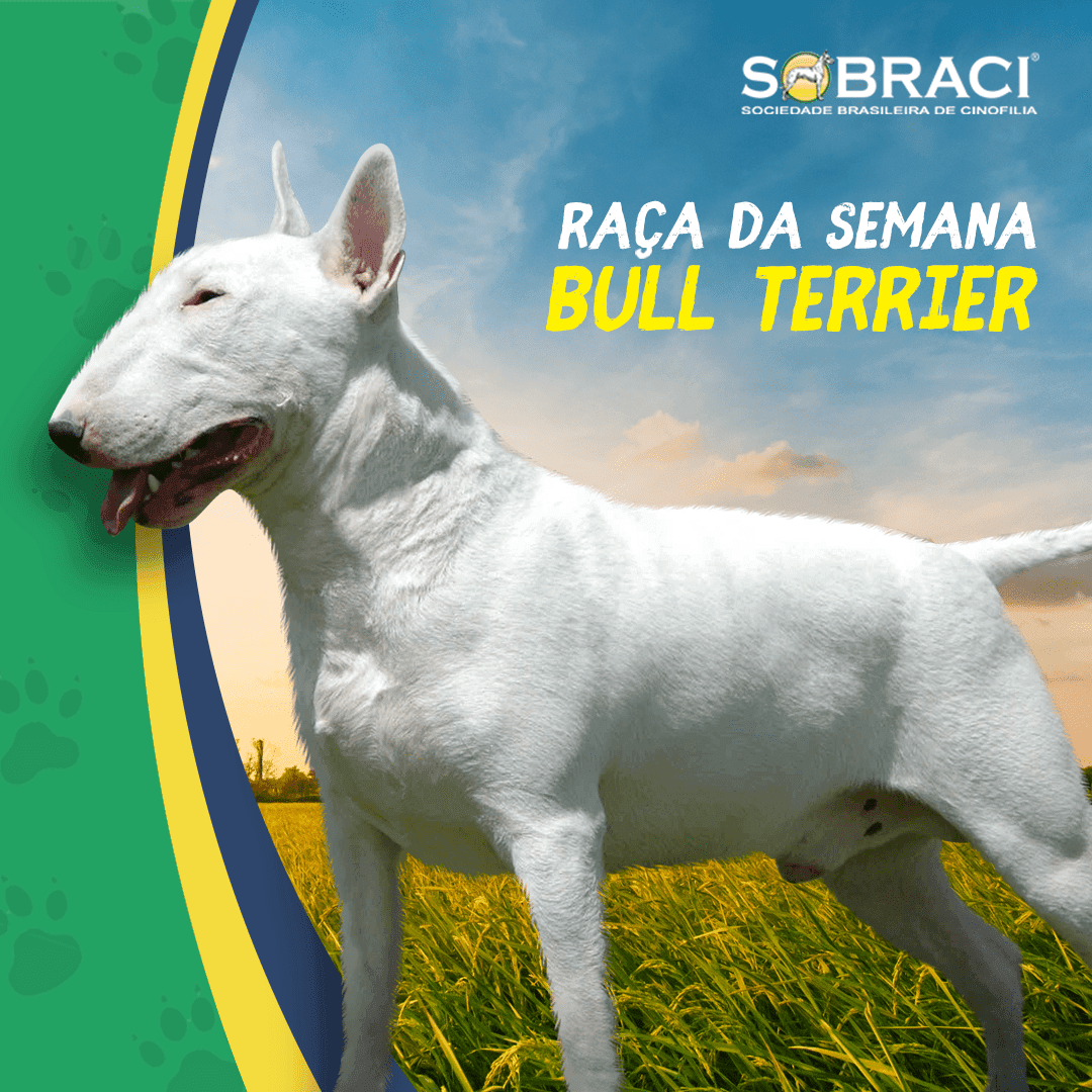 Sobraci Post 8