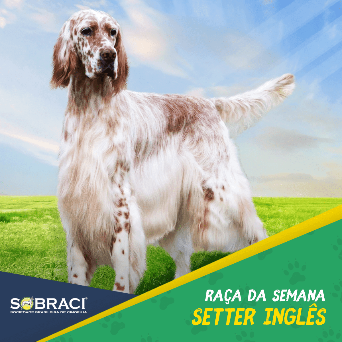 Sobraci Post 1