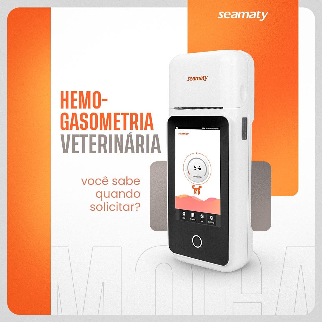 Seamaty Branding 2