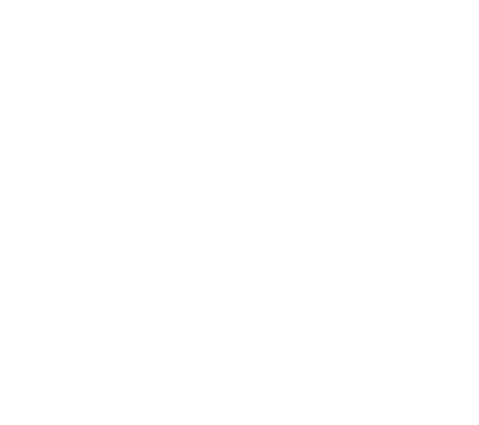 Wys