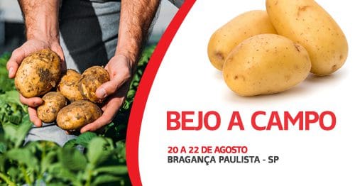 Campanha Bejo a Campo desenvolvida para Ihara