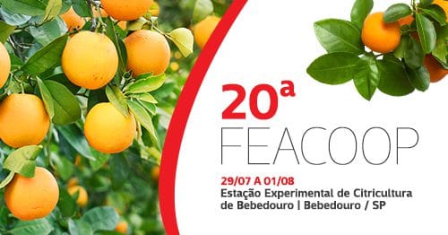 Comunicação institucional Ihara para feira FEACOOP